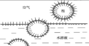 1 1
