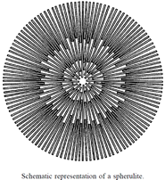 11 11
