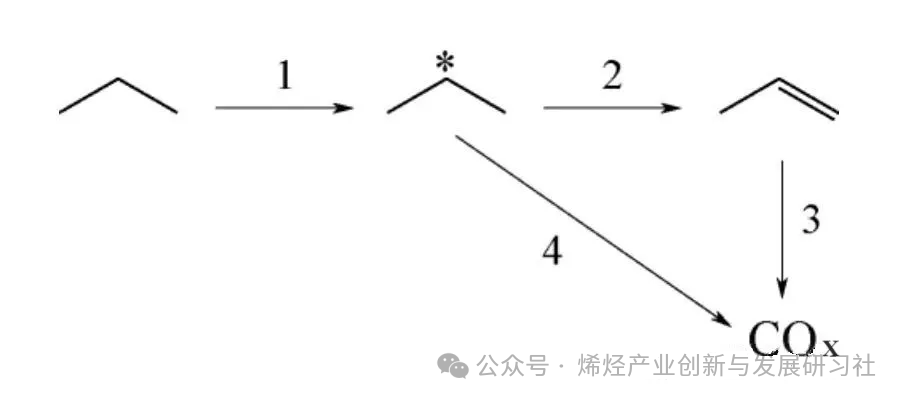 6 6